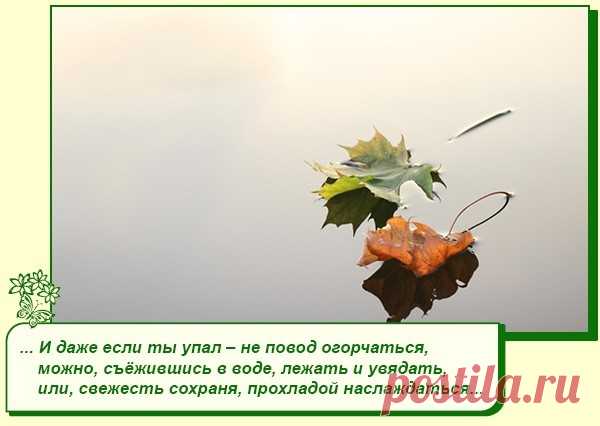 Хорошее настроение рядом