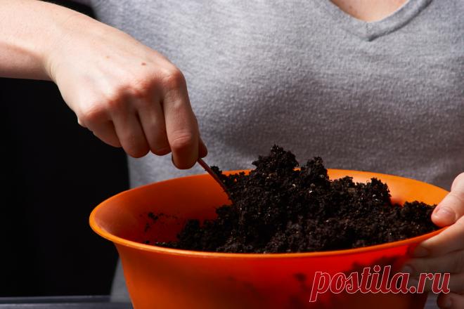 Пересадка комнатных растений