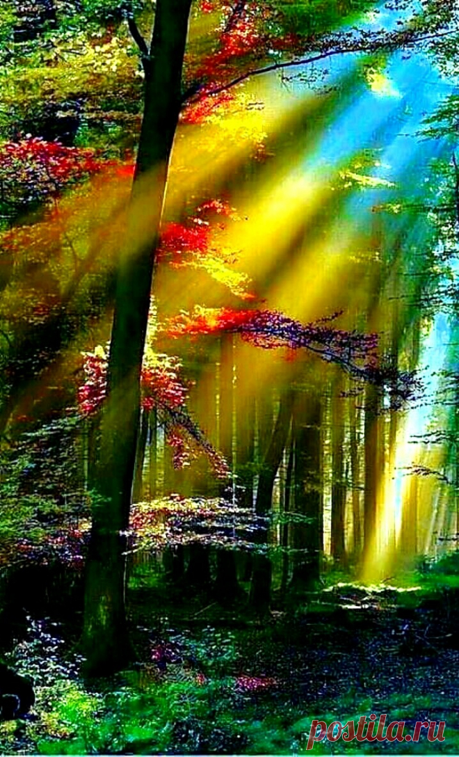 Love from the soul never dies
