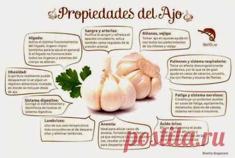 7 usos del ajo para la salud y cómo consumirlo - Mejor Con Salud
