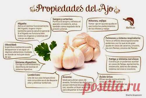 7 usos del ajo para la salud y cómo consumirlo - Mejor Con Salud