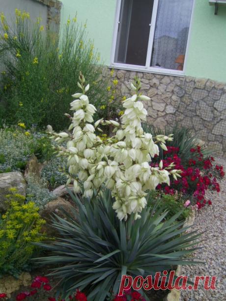 Пансионат Семейный очаг, Поповка, с. Поповка ул. Морская, д. 41