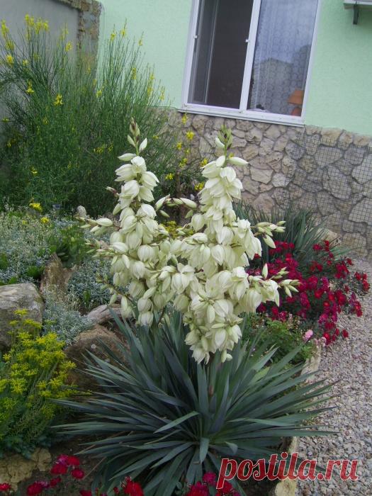 Пансионат Семейный очаг, Поповка, с. Поповка ул. Морская, д. 41