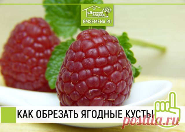 (90) Одноклассники