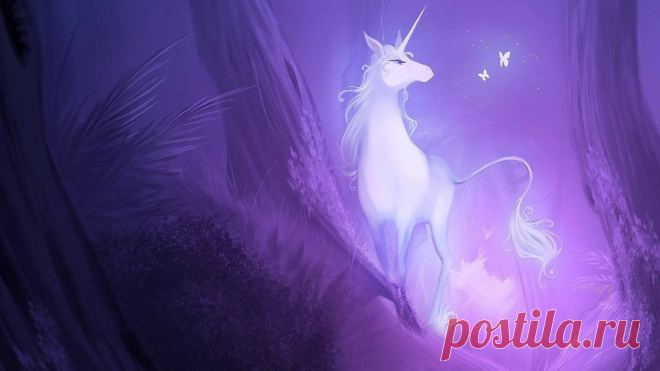 unicorn-12.jpg (1920×1080)