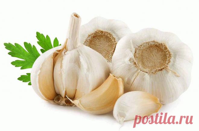 Необычное свойство чеснока
