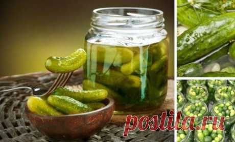 ​Маринованные огурцы
