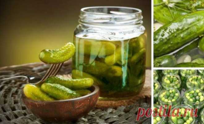 ​Маринованные огурцы