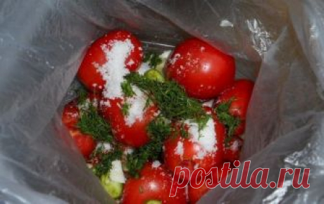 Помидоры в пакетах — самый простой и быстрый способ соления помидор | Вкусные рецепты