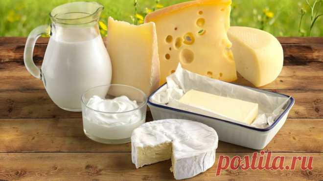 Секреты хранения молочных продуктов, о которых вы могли не знать » Женский Мир
