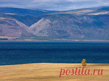 Одноклассники