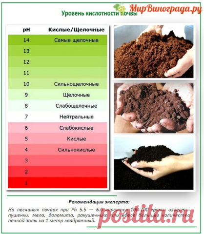 Комментарии к теме