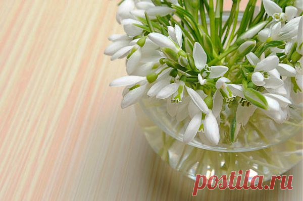 (57) Одноклассники