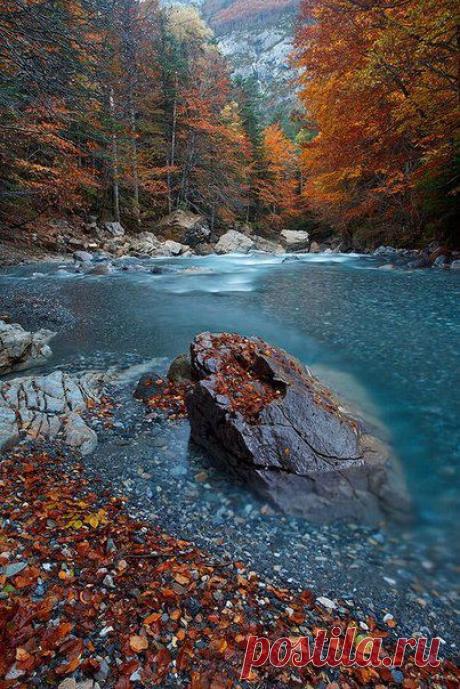 осень