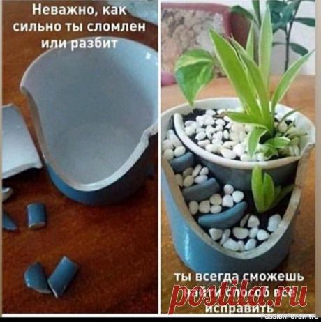 Самая мотивационная картинка на сегодня: