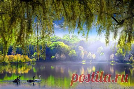 Дивной красоты пейзажи!