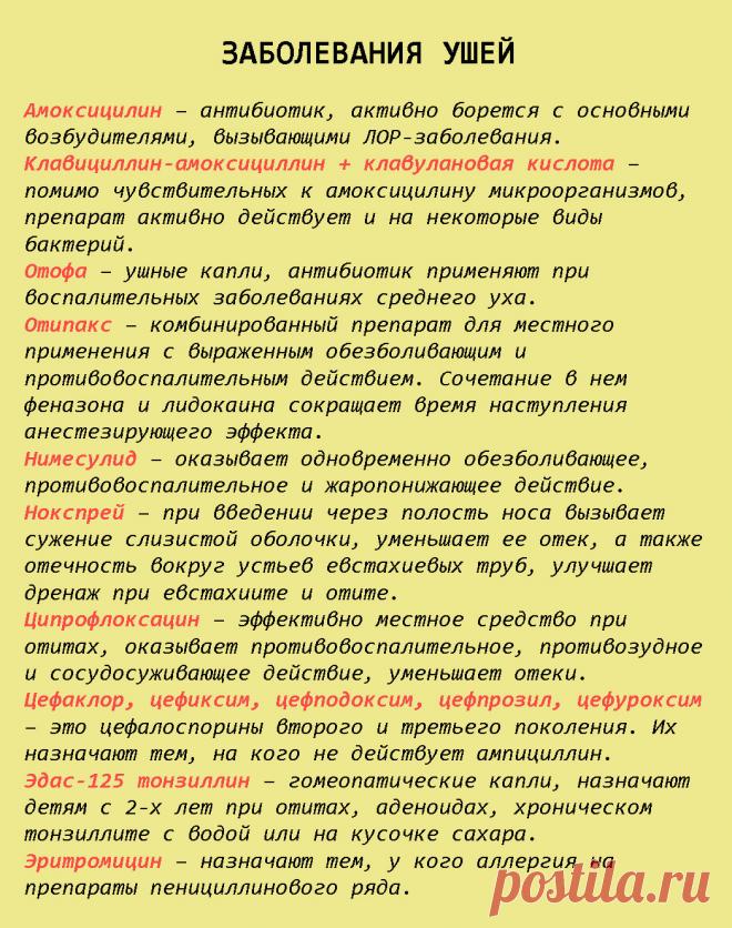 Шпаргалка на всю жизнь: 99 лекарств, которые могут вылечить почти все - Lifter