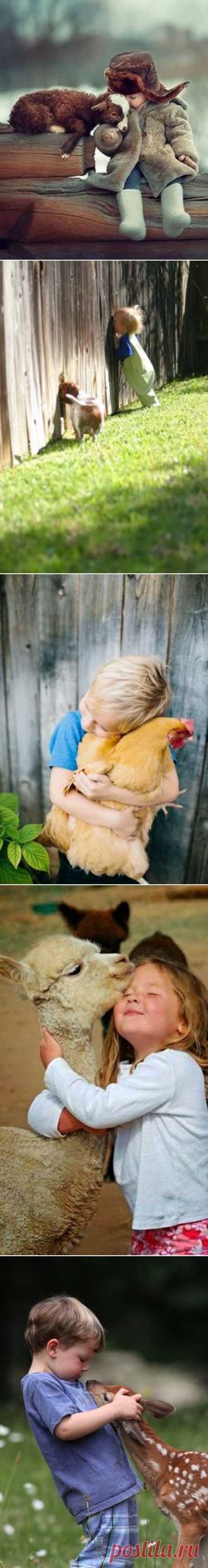 Pinterest • Всемирный каталог идей