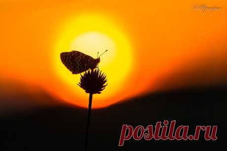 Александр Шрайфель
53 года, Россия, Каменск-Шахтинский
все его фото