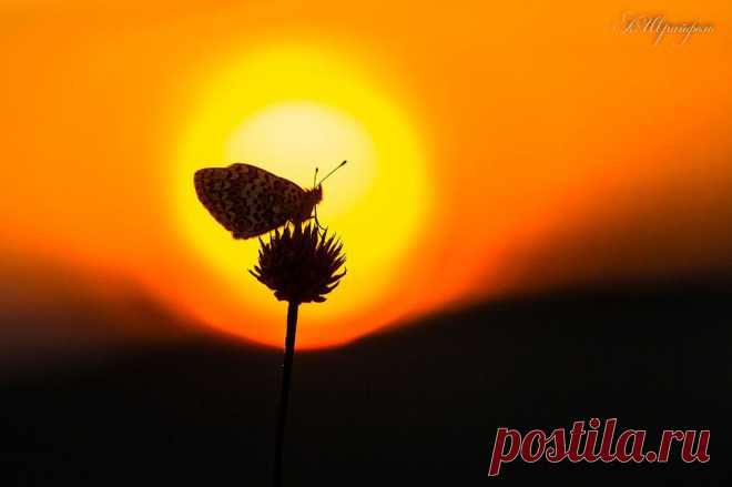 Александр Шрайфель
53 года, Россия, Каменск-Шахтинский
все его фото