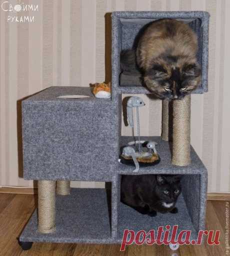 Домик для кота