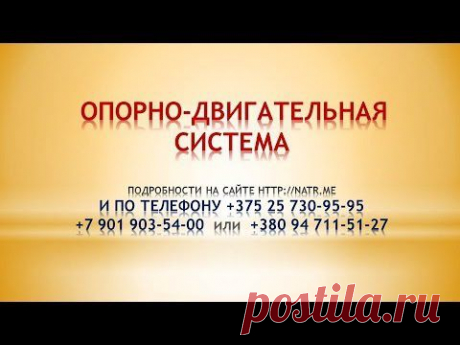 Опорно двигательная система, Лекция врача-нутрициолога Марины Степановой .