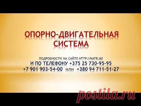 Опорно двигательная система, Лекция врача-нутрициолога Марины Степановой .