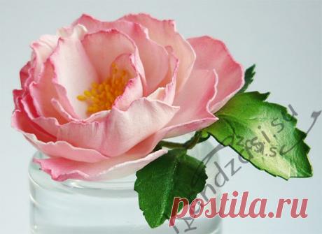 Мастер-классы Фоамиран (FLOWERS OF FOAMIRAN)