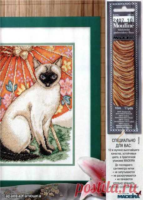Вышивка "Сиамский кот"