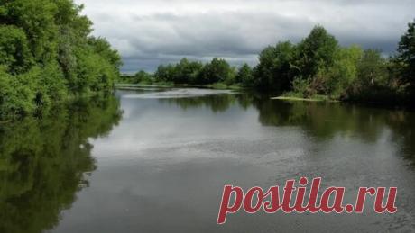 Амбарная Книга | Пензенская область.