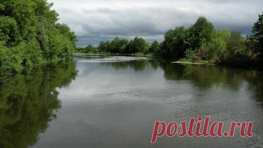 Амбарная Книга | Пензенская область.