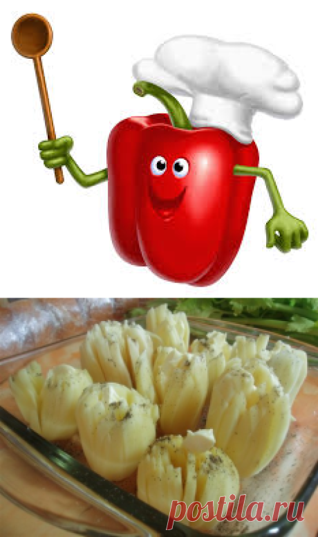 Картофель Дофинэ