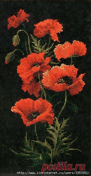 Цветы,букеты