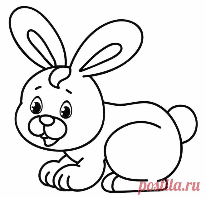 Раскраски зайцев скачать или распечатать