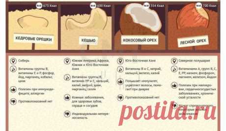 12 самых популярных орехов: их польза и вред
Неплохая инфографика по орехам. Надо заметить, что показания к приему и противопоказания притянуты за уши. Все эти показания определяются витаминными и минеральным составом орехов и омега жирами, которые могут менять вязкость крови.