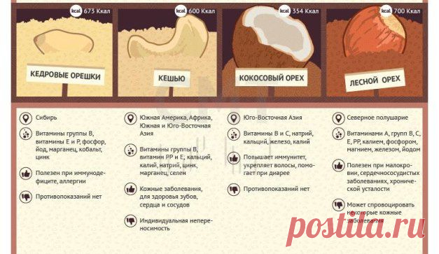 12 самых популярных орехов: их польза и вред
Неплохая инфографика по орехам. Надо заметить, что показания к приему и противопоказания притянуты за уши. Все эти показания определяются витаминными и минеральным составом орехов и омега жирами, которые могут менять вязкость крови.
