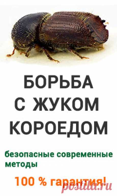 Подготовка грядки под огурцы: мобильная теплая грядка - Дачные Советы