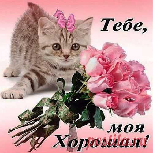 Музыкальная открытка - Люб..это...