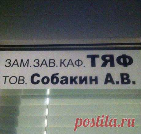 Каждый на своем месте