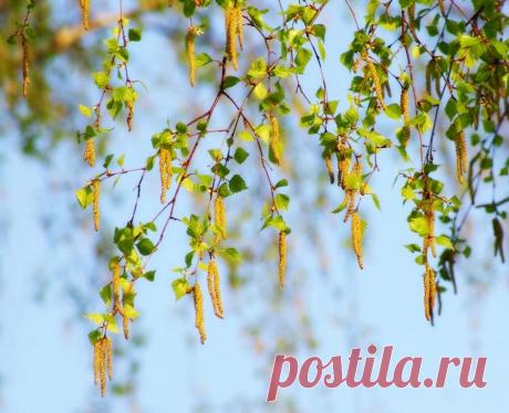 Просыпается жизнь...