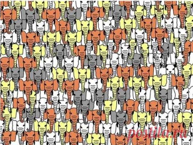 Найдите трех панд, чтобы доказать, что ваш IQ выше 140! Многие уверены, что тесты на IQ — это полная ерунда и существуют они только для того, чтобы потешить наше самолюбие. Правда в том, что у всех людей действительно разный коэффициент интеллекта, который...