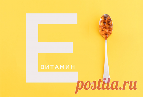 Витамин Е: основные функции и источники