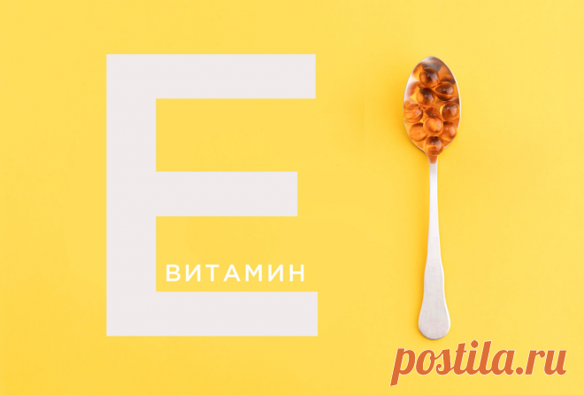 Витамин Е: основные функции и источники