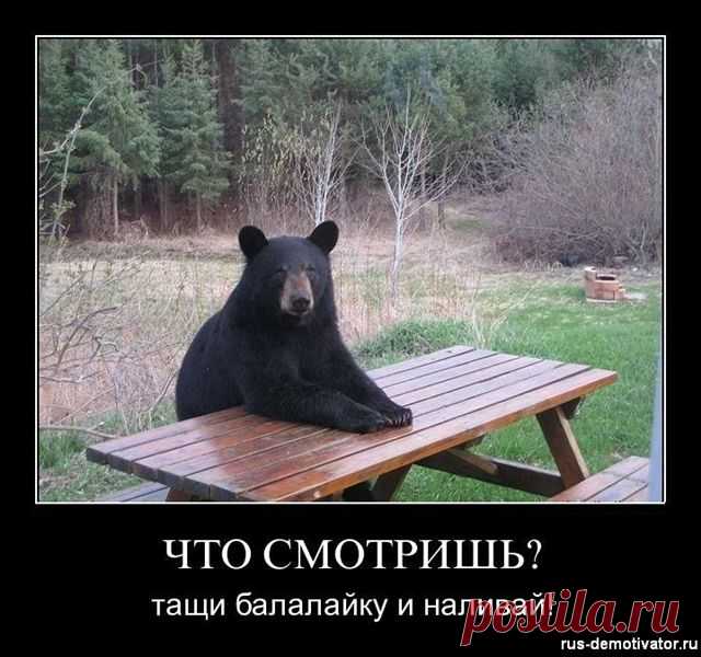А подавай-ка хозяйка обед
