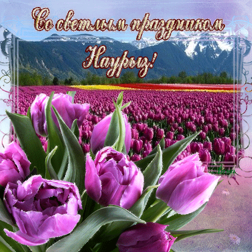 С Наврузом я вас поздравляю!
Всех с наступлением весны!
От всей своей души желаю
Семье здоровья вашей я. Открытки на Международный день Навруз!