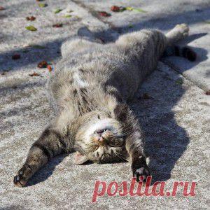 Самостоятельное холотропное дыхание невозможно. Холотропное дыхание также изначально было парным, но со временем оно трансформировалось в групповую технику