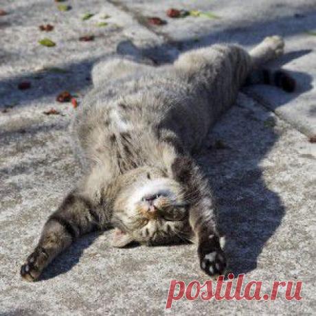 Самостоятельное холотропное дыхание невозможно. Холотропное дыхание также изначально было парным, но со временем оно трансформировалось в групповую технику