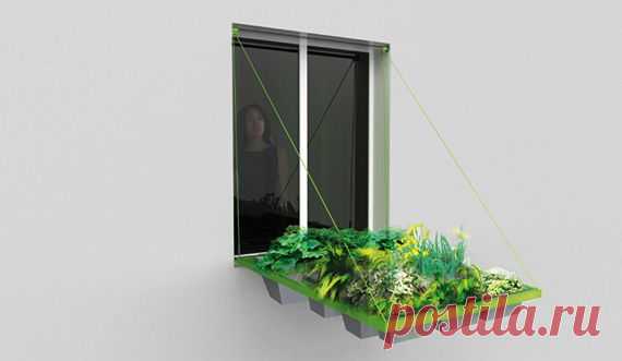 Мини-сад за окном | Сделай сам!