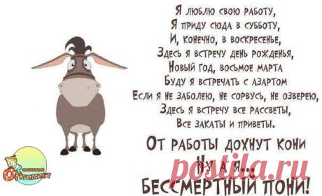 Настоящий Оптимист