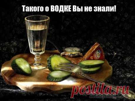 15 нестандартных, но весьма эффективных, способов применения водки